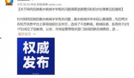 衡水桃城爆料事件视频,视频揭露惊人真相