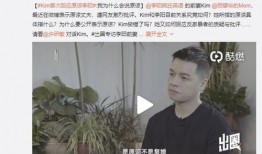 顾成前妻爆料视频大全,揭秘婚姻背后的真相