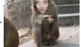 猴子抖音爆料视频大全最新,猴子最新爆料视频大全精彩集锦