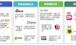 极限分析正泰爆料视频,揭秘爆料视频背后的真相与情感纠葛